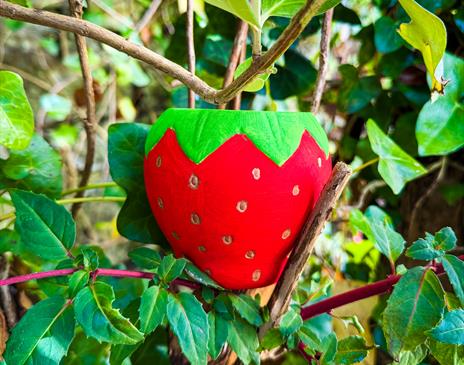 Little Makers – Strawberry Planter Workshop