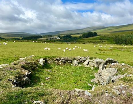 Walk in the Footsteps of Archibald Knox – Upper Sulby Valley