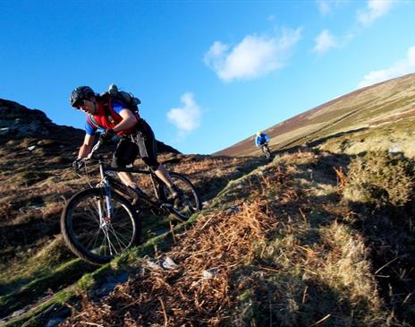 Mountain bikers decending the hills