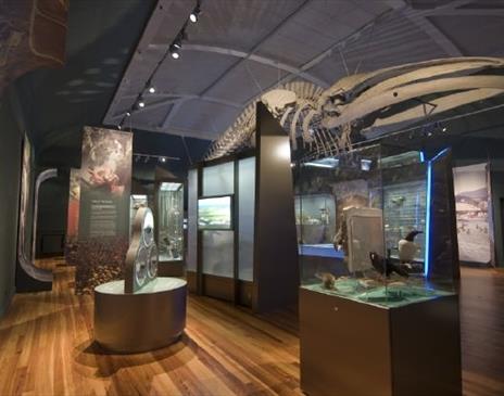 Behind the Scenes Tour of the Manx Museum's Natural History Collections