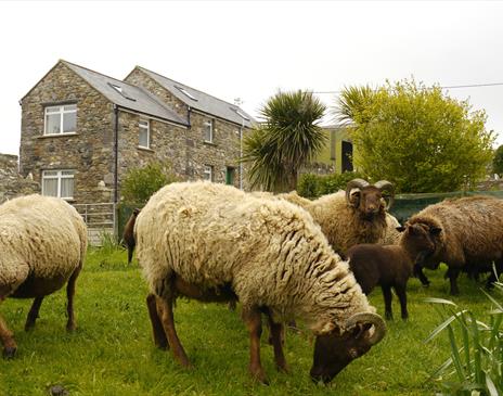 The Stable At Glendown Farm