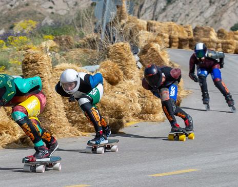 World Downhill Skateboarding Championship