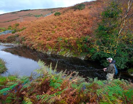 Fishing an upland stretch of the Sulby River