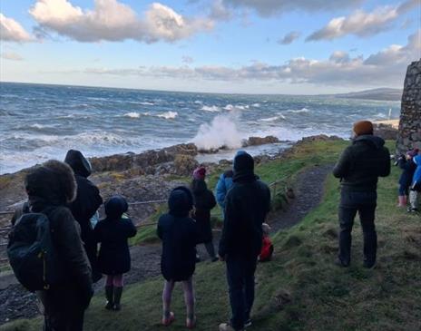 Birds at the coast for Young Birders