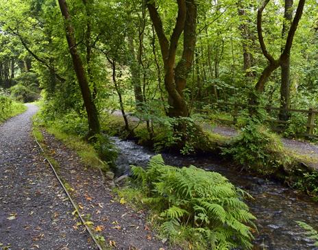 Port Soderick  Glen