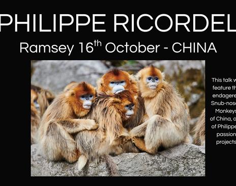 Philippe Ricordel - World Wildlife Photography