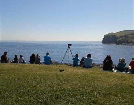 Manx Whale and Dolphin Watch – Sea Watch at the Sound