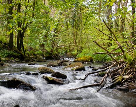 Douglas River Glass Walk