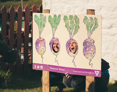 Turn up for Turnips