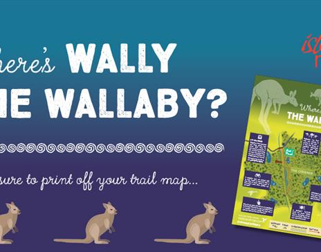 Where's the Wallaby?