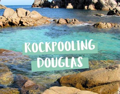 Manx Wildlife Trust – Rockpooling – All Ages