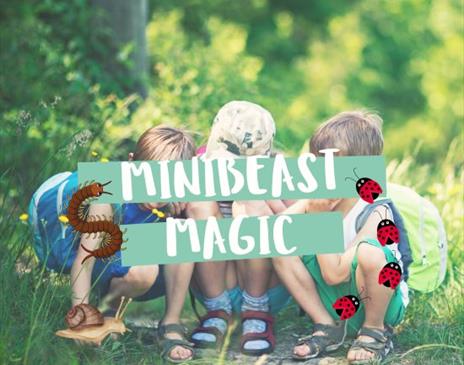 Manx Wildlife Trust – Minibeast Magic