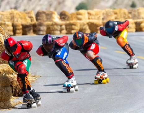 World Downhill Skateboarding Championship