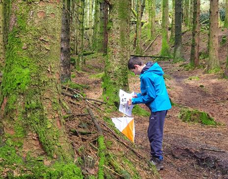 Isle of Man Orienteering Klubb - Spring Challenge Orienteering Event - Ballaglass Glen.