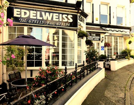 The Edelweiss