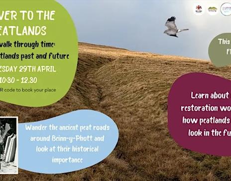 A Walk Through Time: our peatlands past and future