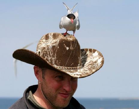 Manx BirdLife - Point of Ayre Reserve