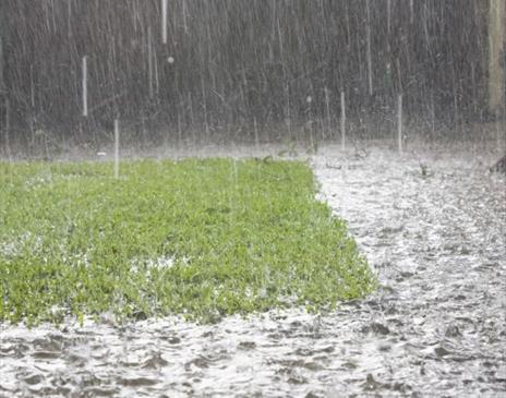 Friends of the Earth – Garden tips for drought and flooding