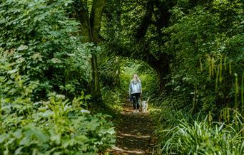 Bishopscourt Glen