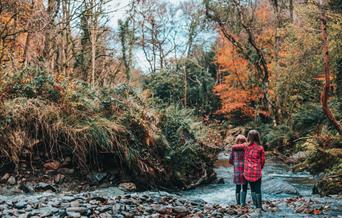 Laxey Glen
