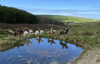 Ballahimmin Riding and Pony Trekking Centre