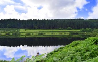 Cringle Reservoir
