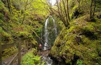 Dhoon Glen