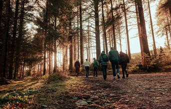 South Barrule Forest