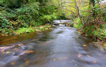 The Silver Burn River
