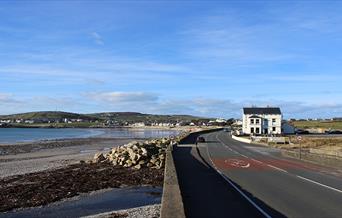 The Shore - Gansey