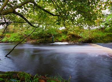 River Neb - Visit Isle of Man