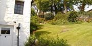 Looking up Garden at back