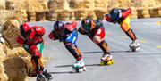 World Downhill Skateboarding Championship