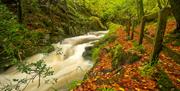 Lower Ballaglass Glen in autumn