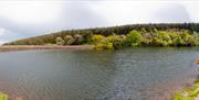 Ballure reservoir, looking towards the dam