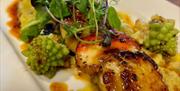 Boathouse Eatery Scallops
