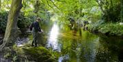 Angling on the Neb