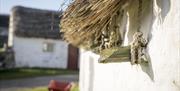 Manx thatched cottage