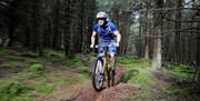 Mountain Biker riding in the plantation