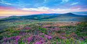 Evening Light on Cronk Ny Arrey Laa