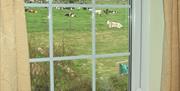 View over fields