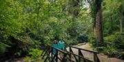 Groudle Glen Walking