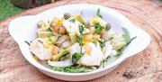 HQ Small Plate