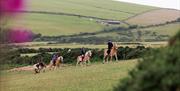 Ballahimmin Riding and Pony Trekking Centre