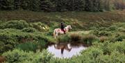 Ballahimmin Riding and Pony Trekking Centre