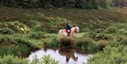 Ballahimmin Riding and Pony Trekking Centre
