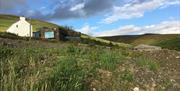 Sartfell Hill, a remote area where guests can walk around 5 acres of land without breaking isolation rules
