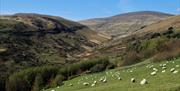 The Mountain Railway climbs through the scenic Laxey Glen to Snaefell summit.