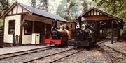 Sea Lion and visiting locomotive Polar Bear at Lhen Coan station