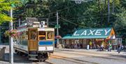 Ride the Mountain Railway to Snaefell Summit. Visit the nearby Rose Garden's Sea to Summit displays.